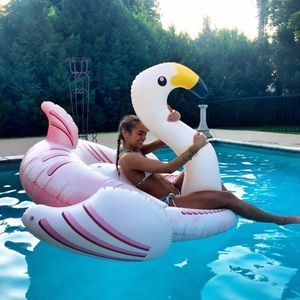 Meet your Posher, Forrest